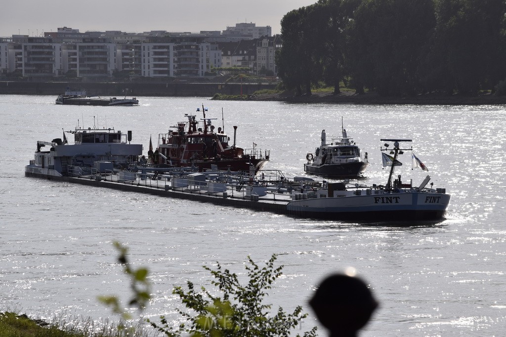 Schiff 1 Koeln in Hoehe der Koelner Zoobruecke P081.JPG - Miklos Laubert